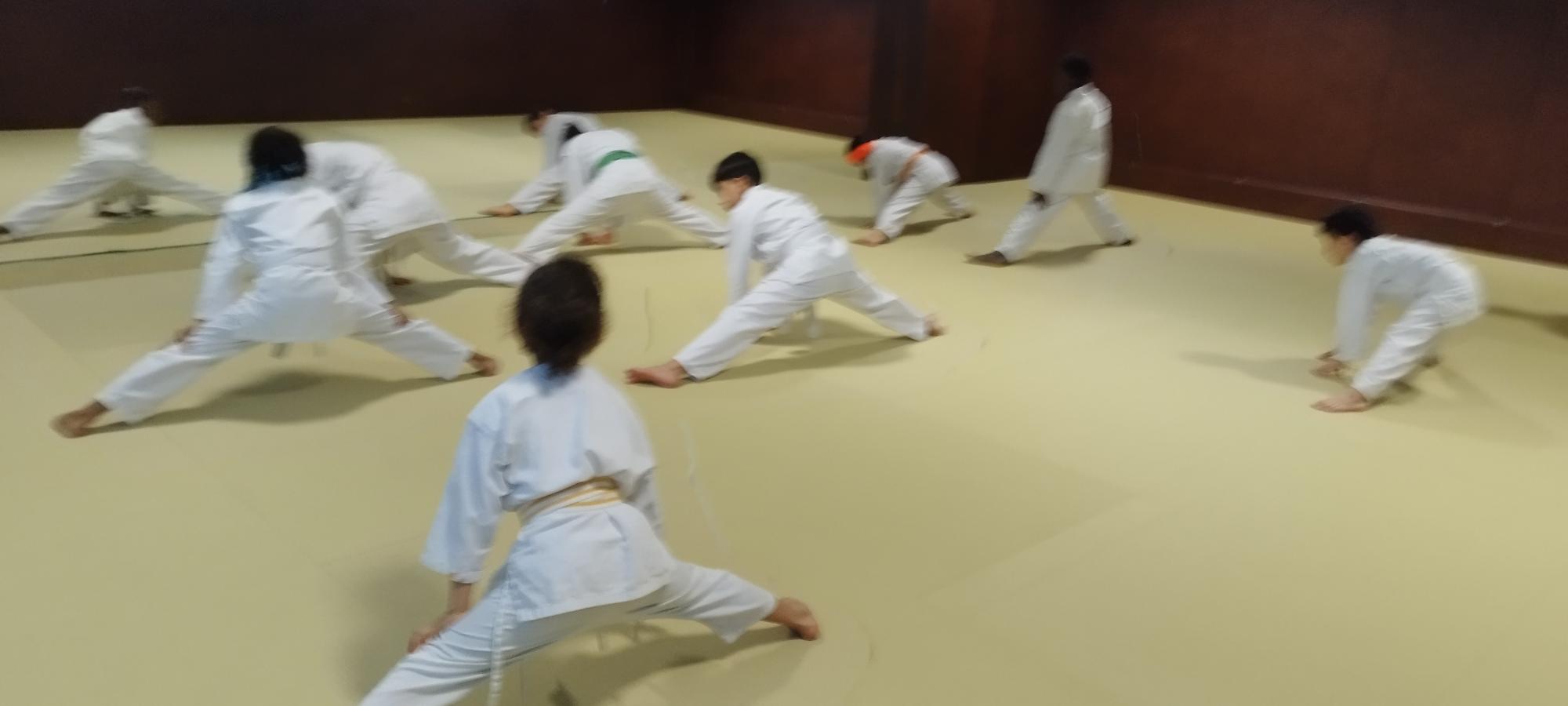 karaté Montreuil Image 13